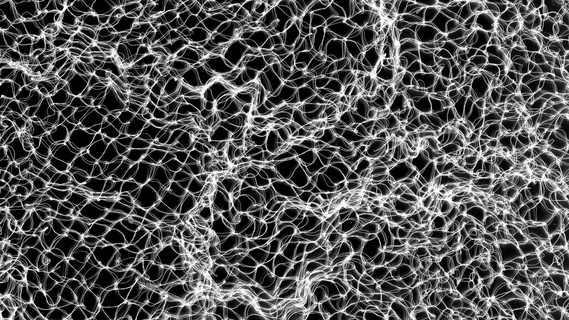 Gossamer Poster 3.6.2