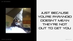 Thumbnail 21
