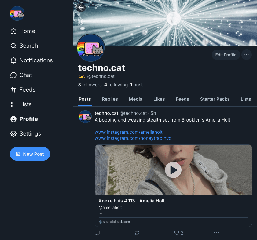 Cover Image for @techno.cat